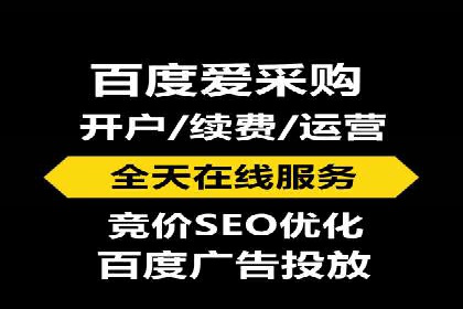 百度广告竞价之成功案例：某行业领军企业的崛起之路